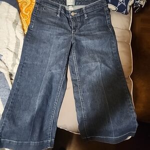 White House Black Market Dark Blue Flare Jeans